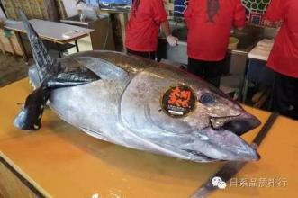 流浪剑客这下牛b了 流浪剑客这下牛b了 中国人最爱吃的岛国海鲜出大事啦！这下该咋办？看了就知道!