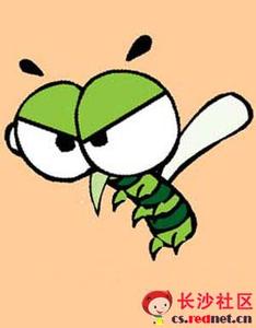 对付蚊子的最好办法 教大家怎样对付蚊子！对付蚊子！付蚊子！蚊子！子！！