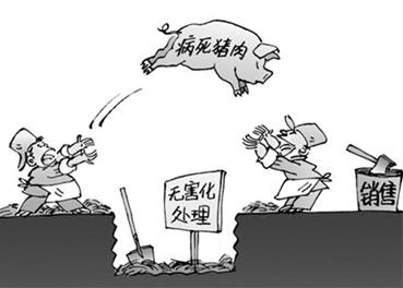 食药监总局 食药监总局 食药监总局将严打销售病死猪肉