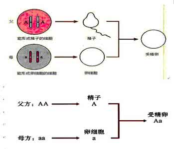 小学三年级品社下册复习教学知识点归纳总结