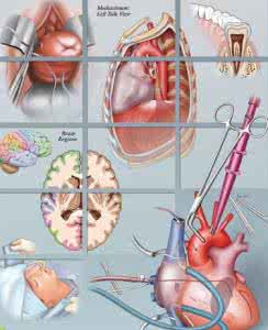 论述百岁人瑞长寿秘诀 数字化解析百岁秘诀