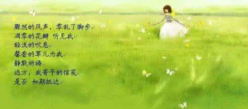 鱼游到了纸上ppt 纸上散步