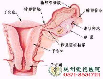 附件炎的危害 附件炎的危害 附件炎的危害有多大