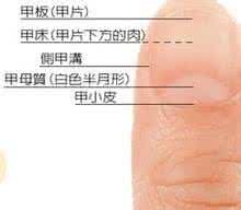 高血压脑溢血后遗症 【保健】压指甲根，治疗脑溢血后遗症