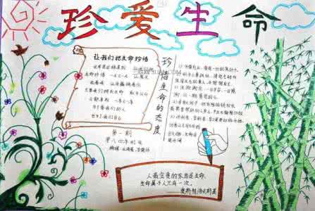 热爱生命手抄报的内容 珍爱生命手抄报素材