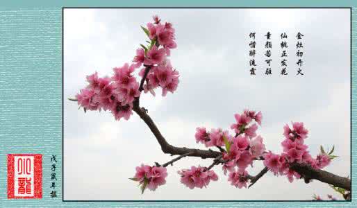 桃花赋好句赏析 桃花赋