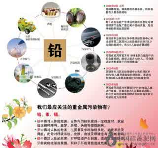 世界卫生组织身高体重 世界卫生组织的历史 解决过哪些重特大事件