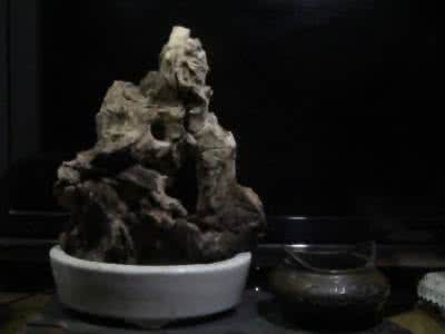 点石成金 旧木头之点石成金篇