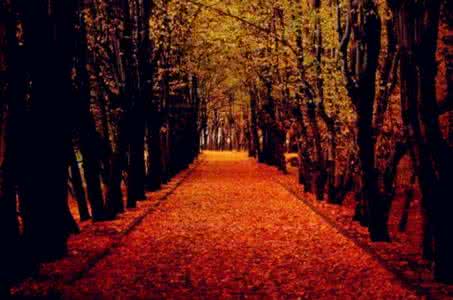 强迫症康复的大彻大悟 大彻大悟的十段话