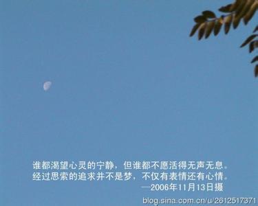 模拟人生之漂流者物语 一个人的人生物语