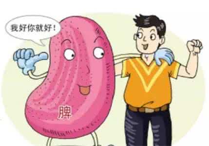 脾胃不好可以吃香蕉吗 脾胃不好如何调理 香蕉性寒脾胃不好的少吃