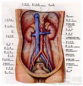 膀胱炎尿路感染 膀胱炎尿路感染 小心!穿紧身裤易感染膀胱炎