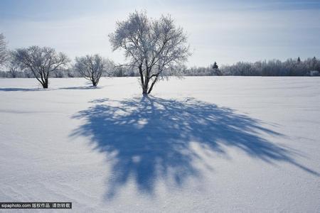 冰雪女王之冬日魔咒 冬日 · 雪