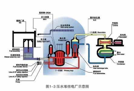 中国有沸水堆吗 压水堆