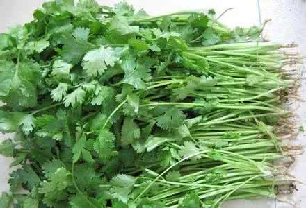 香菜的营养价值及功效 香菜的副作用 香菜的营养价值及功效