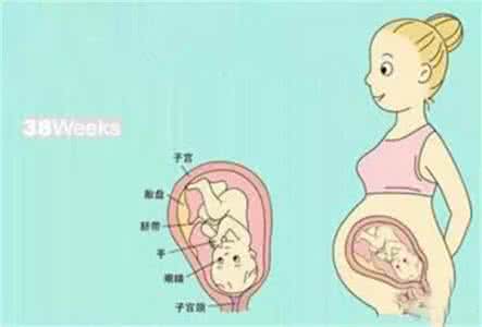 抗子宫内膜阳性已分娩 你知道从受孕到分娩 女人子宫的变化吗