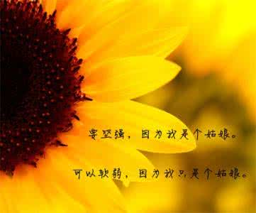 早安温馨语录 早安励志语录经典 温馨经典早安励志图片带字*