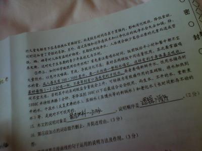 荷兰鼠阅读理解答案 荷兰鼠 荷兰鼠阅读答案