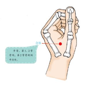 老年人健康长寿秘诀 想要健康又长寿 想要健康长寿!你考虑过风水问题吗?