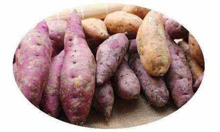 番薯黑斑 番薯怎么辨别黑斑?