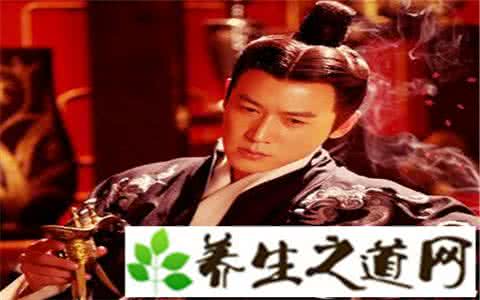 汉昭帝刘弗陵 汉昭帝刘弗陵是谁的儿子 刘弗陵的生母是谁