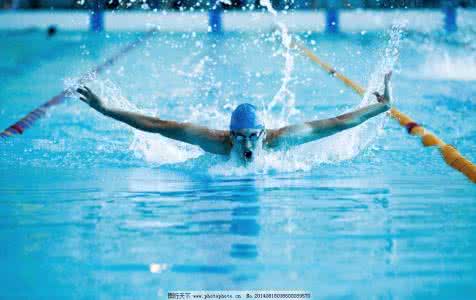 蝶泳的动作要领 蝶泳的动作要领 后来居上的竞技游泳