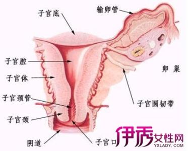宫外孕是什么引起的 宫外孕是什么意思