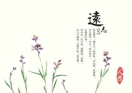 玉兰花开 《本草》植物志之玉兰：玉兰花开试羽衣，劝君惜取少年时