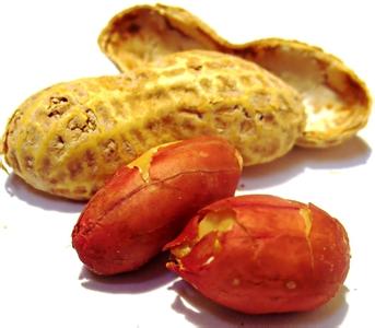 胎儿补脑的最佳时间 哪些食物有助于胎儿补脑