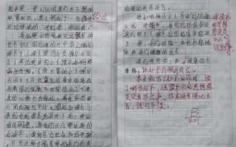 找规律教学反思 教师写教学反思规律方法总结
