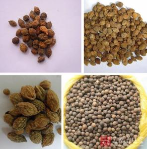 三味中药泡水喝 40岁变20岁三味中药泡水喝 排毒变漂亮!