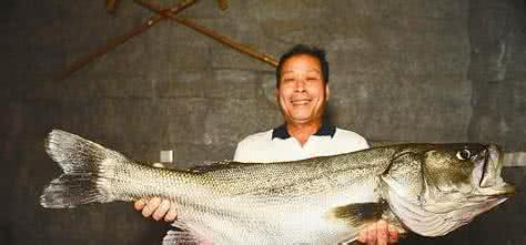 地震最新消息今天 地震鱼