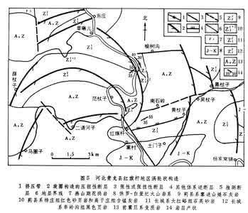 旋扭构造 旋扭构造体系