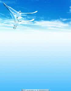 单翼飞翔 洛天依 洛天依单翼飞翔 单翼飞翔