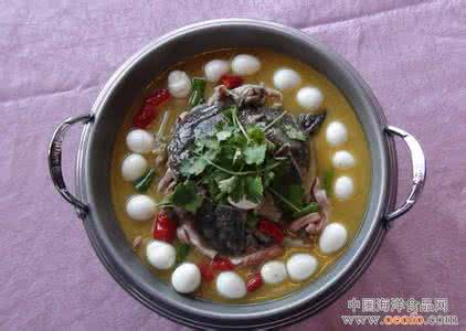 滋阴养胃 健脾益气 滋阴养胃 健脾益气 甲鱼药膳有滋阴益气养颜的功效噢