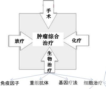 提睾扶阳法 ?浅谈扶阳法在肿瘤治疗中的应用