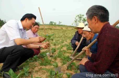 种植什么药材最赚钱 种植药材赚钱吗 【2015年种植什么药材最赚钱】种植什么药材最赚钱