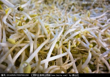 梦见买了绿豆芽吃 梦见自己买了绿豆芽 梦见买豆芽