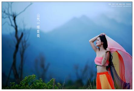 下一世只愿自由的飞 波夫娃:惟爱这一世的激荡与自由