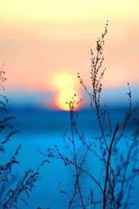 珍惜光阴把握今天讲章 【美文欣赏】握字为暖，光阴芬芳