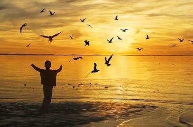 感悟人生哲理句子 人生哲理  悟在其中