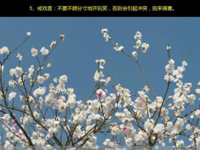 一年级美文欣赏 有一种美丽 【美文欣赏】