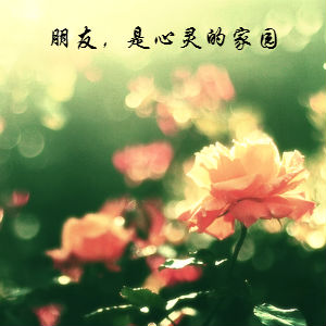 承鼎广场舞红尘永相依 红尘之爱，心灵相依（精美散文）