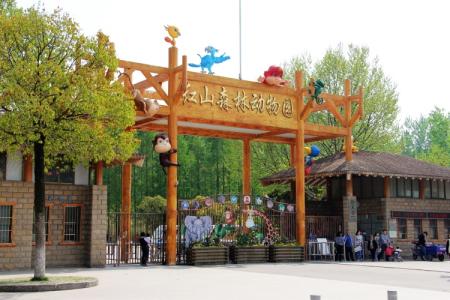 南京红山动物园攻略 南京红山动物园攻略 红山动物园游玩攻略