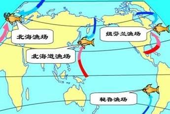 大规模的海水运动 大规模的海水运动 大规模的海水运动试题