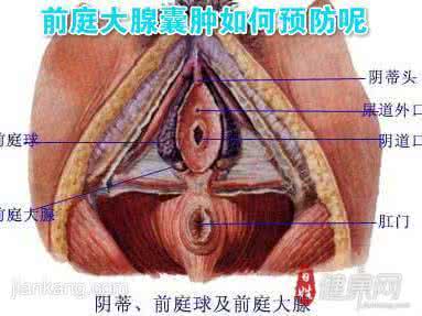 前庭大腺囊肿 前庭大腺囊肿 大前庭家长可以生二宝麽?