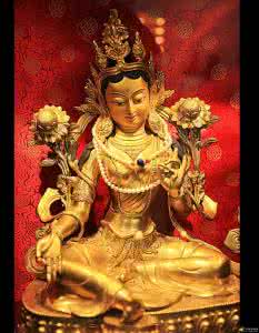 梦见斩蛇 梦见自己斩蛇 梦见斩蛇