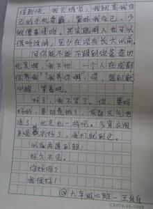 小学生作文老师神批语 小学生神级作文