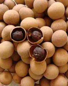 龙眼肉是桂圆吗 龙眼肉是桂圆吗?龙眼肉与桂圆的区别