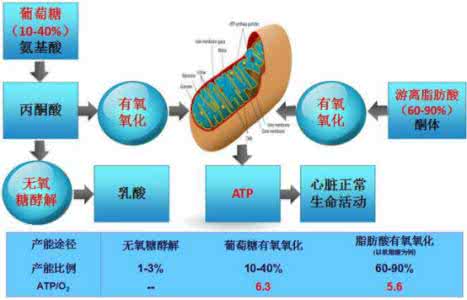 心衰药物治疗 心衰药物治疗之“七大利器”